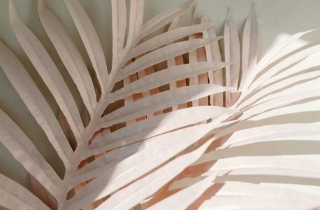 instructions for form 4136